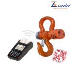 CRANE SCALE PAY